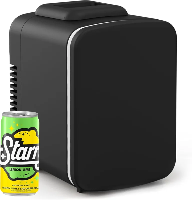 portable mini fridge for family_best_review_1753608013
